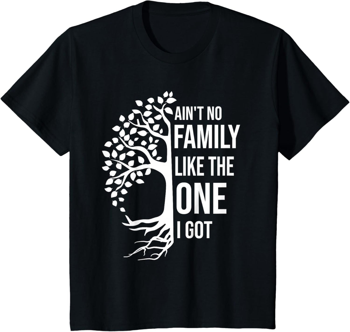Ain't No Family Like The One I Got Funny Family Reunion 2025