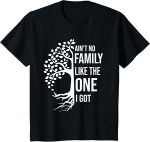 Ain't No Family Like The One I Got Funny Family Reunion 2025