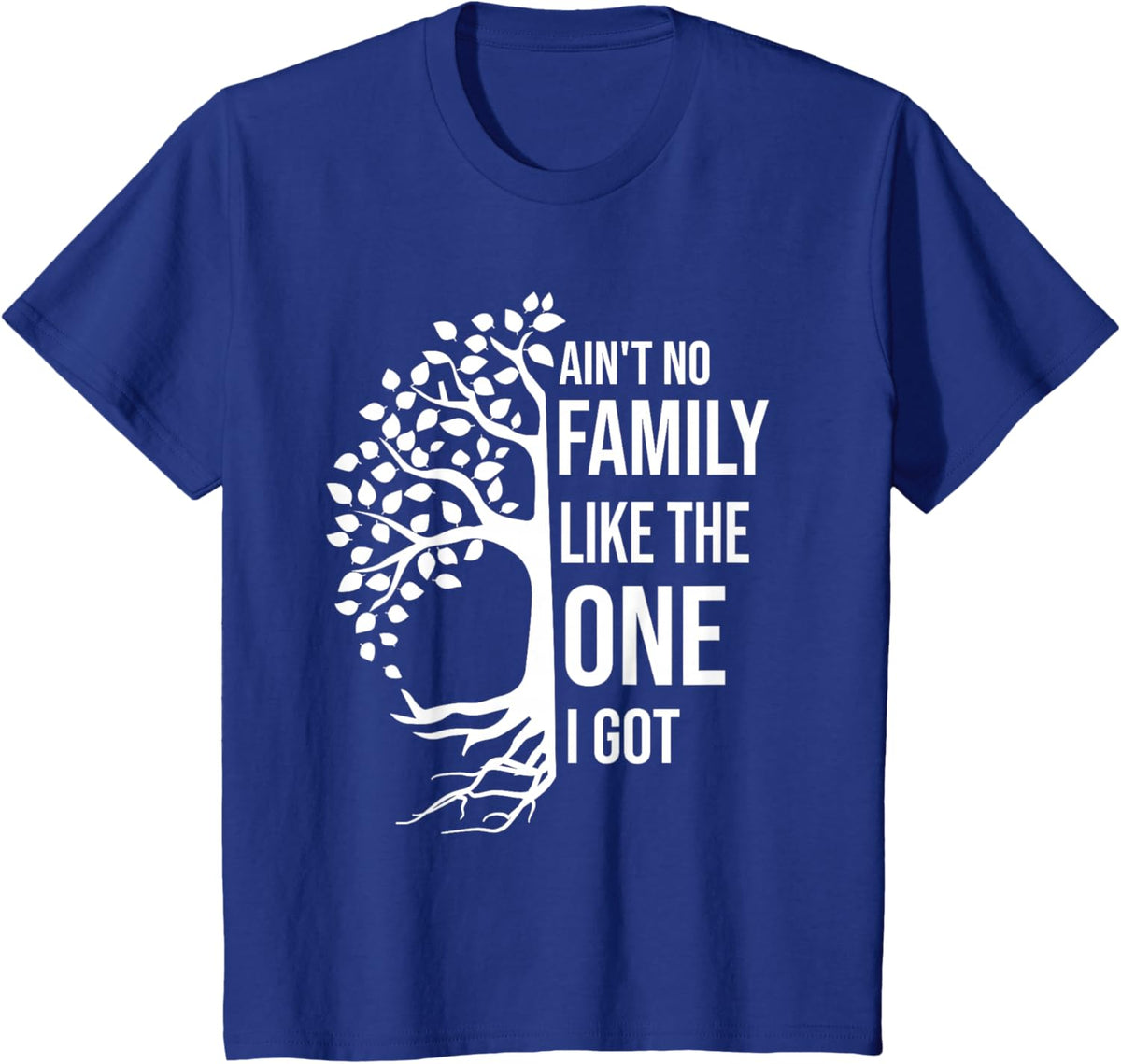 Ain't No Family Like The One I Got Funny Family Reunion 2025