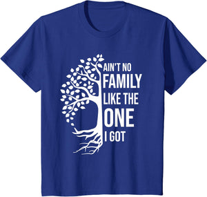 Ain't No Family Like The One I Got Funny Family Reunion 2025