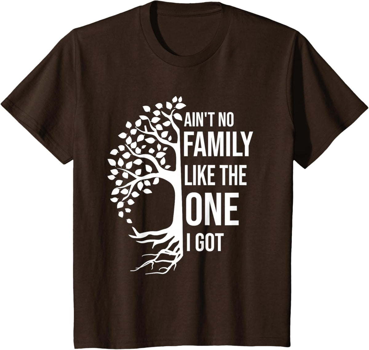 Ain't No Family Like The One I Got Funny Family Reunion 2025