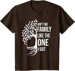 Ain't No Family Like The One I Got Funny Family Reunion 2025