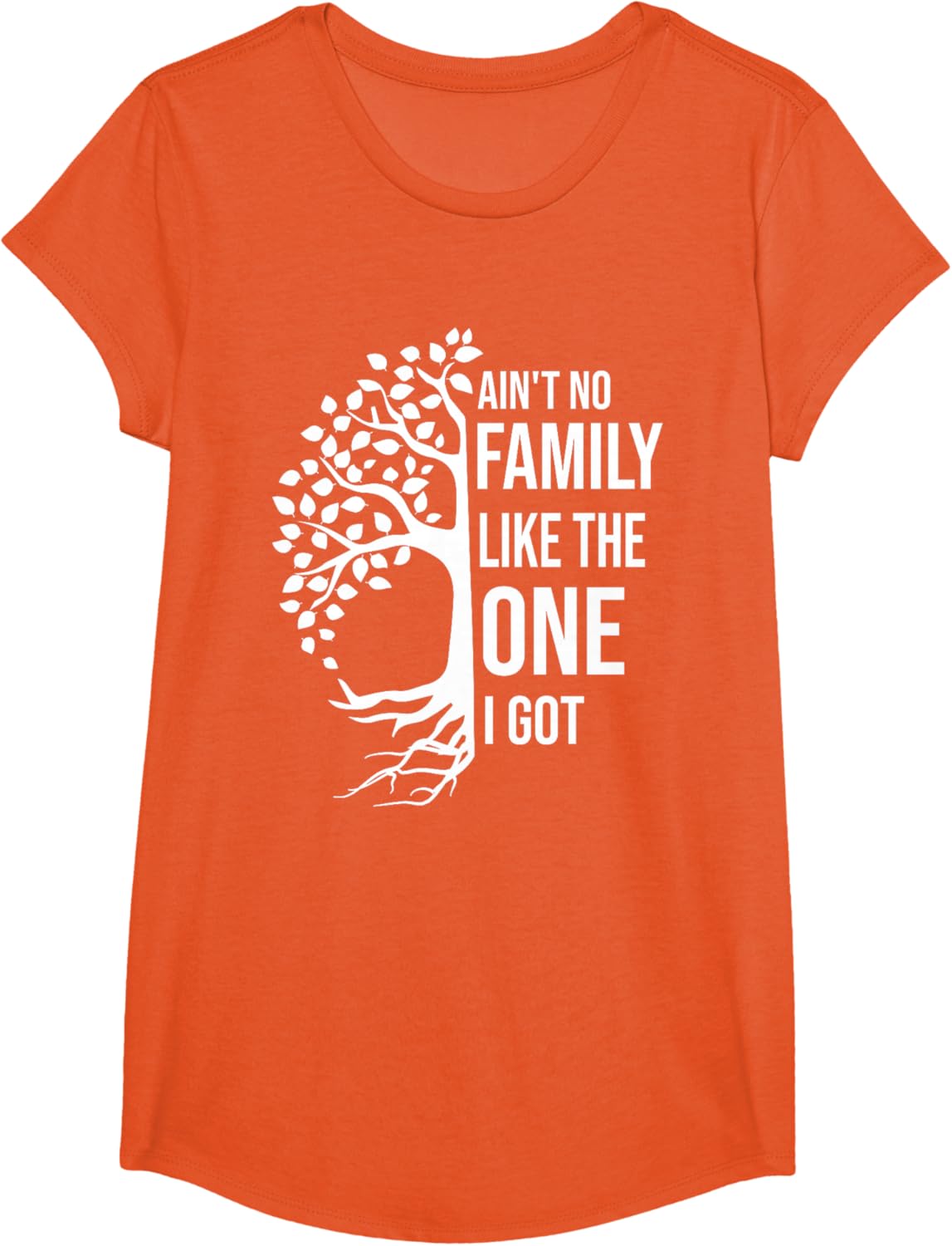 Ain't No Family Like The One I Got Funny Family Reunion 2025