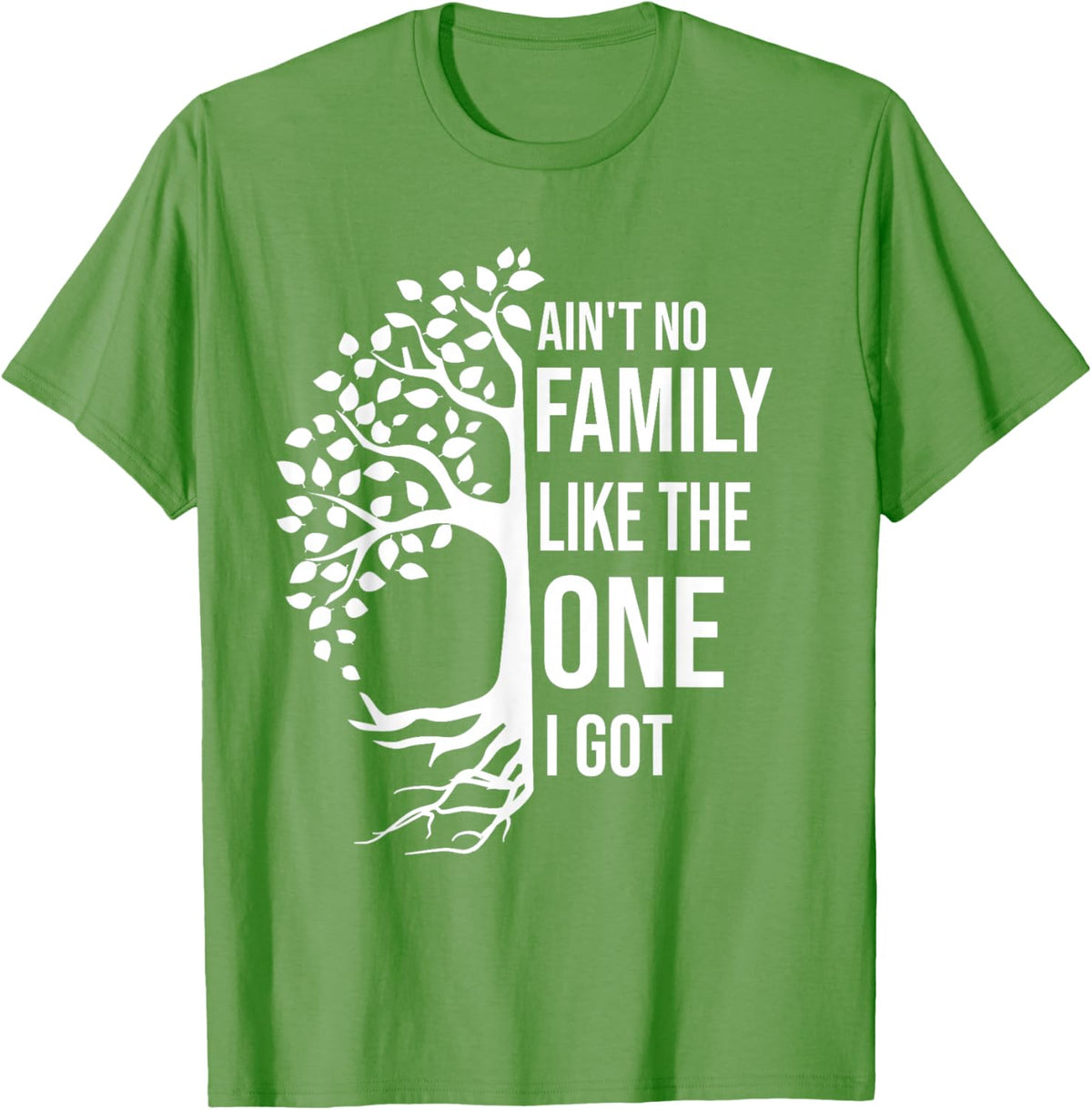 Ain't No Family Like The One I Got Funny Family Reunion 2025