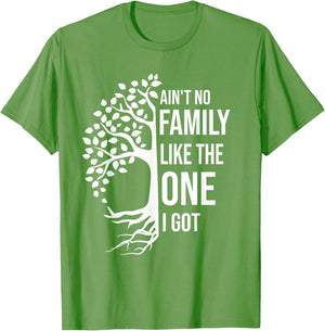 Ain't No Family Like The One I Got Funny Family Reunion 2025