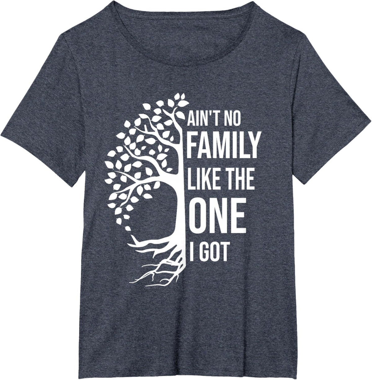 Ain't No Family Like The One I Got Funny Family Reunion 2025