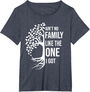 Ain't No Family Like The One I Got Funny Family Reunion 2025