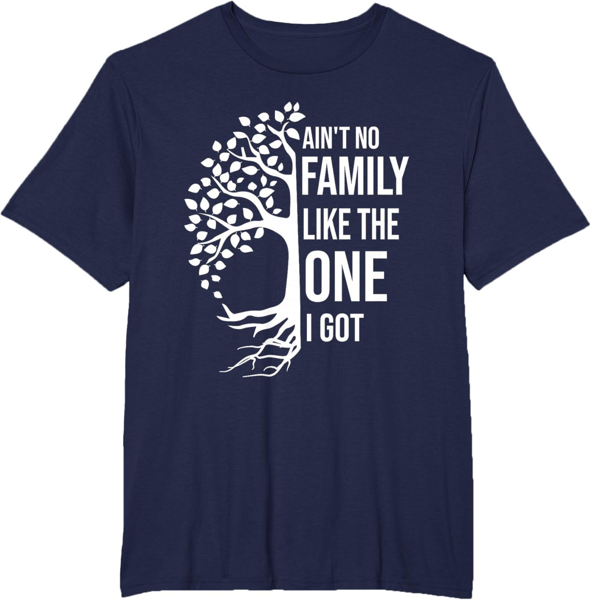 Ain't No Family Like The One I Got Funny Family Reunion 2025