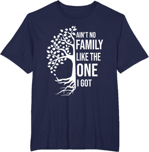 Ain't No Family Like The One I Got Funny Family Reunion 2025