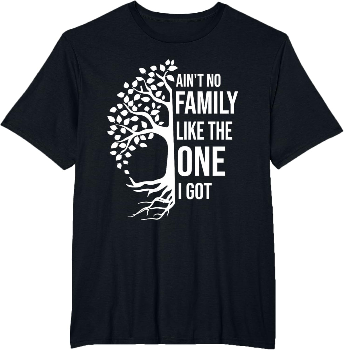 Ain't No Family Like The One I Got Funny Family Reunion 2025