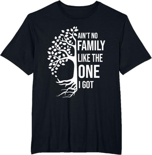 Ain't No Family Like The One I Got Funny Family Reunion 2025
