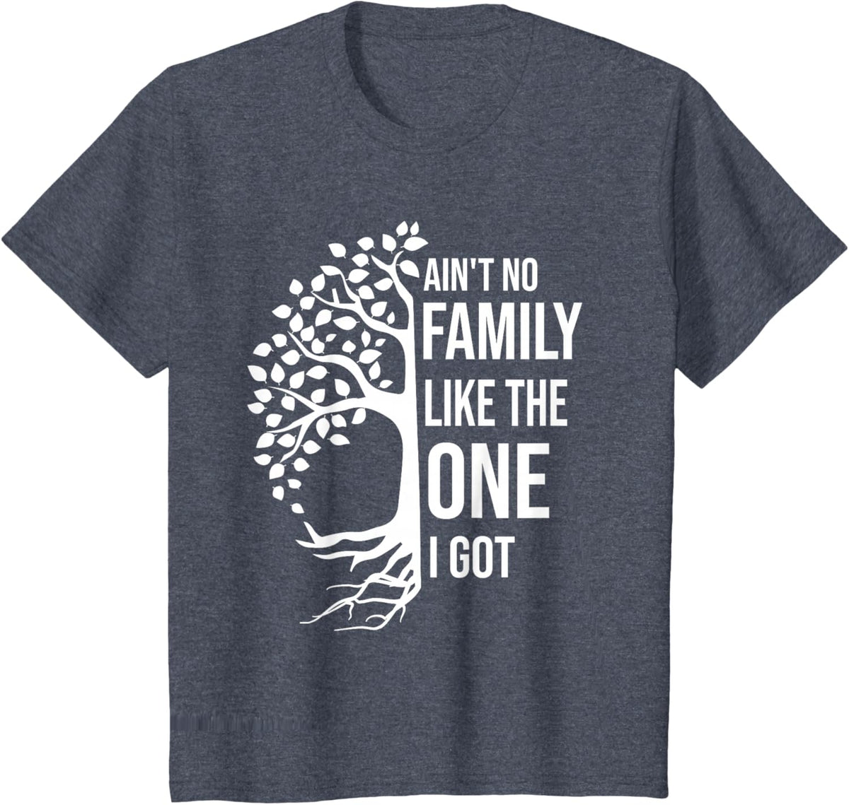 Ain't No Family Like The One I Got Funny Family Reunion 2025