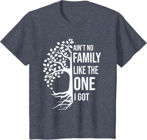 Ain't No Family Like The One I Got Funny Family Reunion 2025