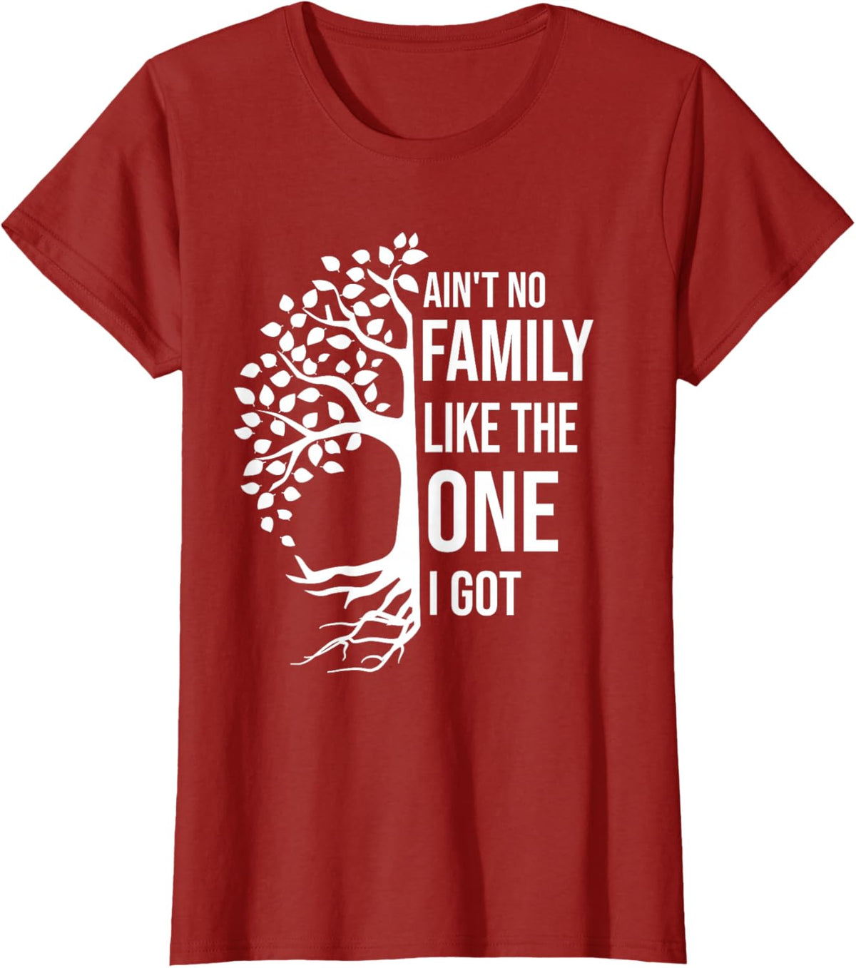 Ain't No Family Like The One I Got Funny Family Reunion 2025