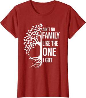Ain't No Family Like The One I Got Funny Family Reunion 2025
