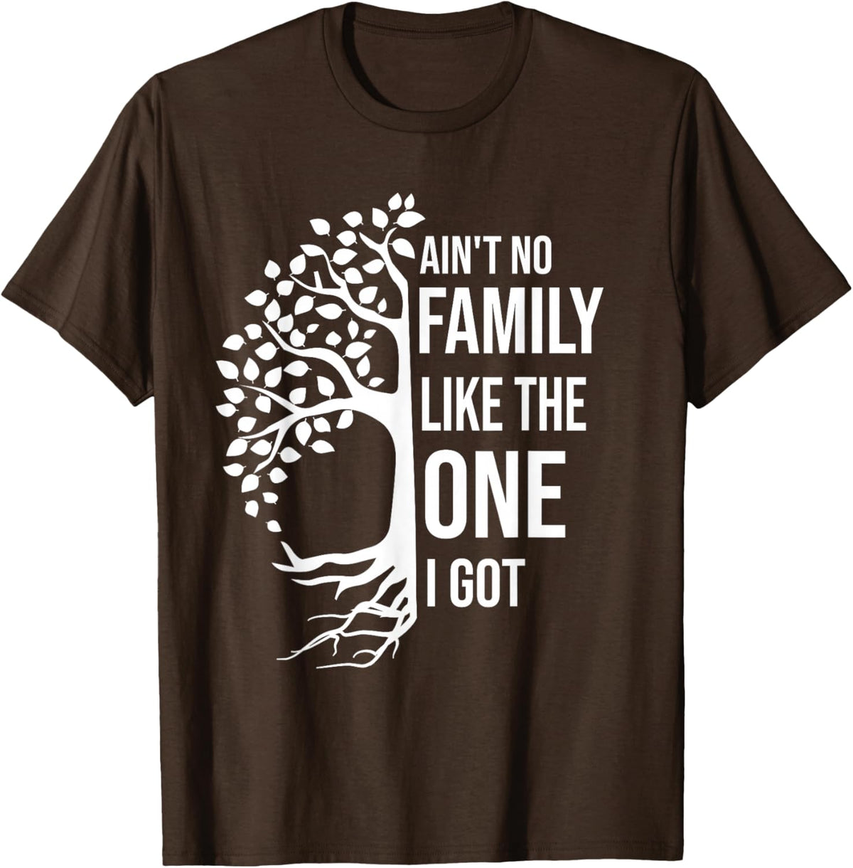 Ain't No Family Like The One I Got Funny Family Reunion 2025