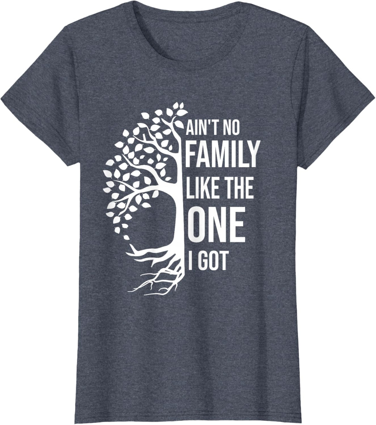 Ain't No Family Like The One I Got Funny Family Reunion 2025