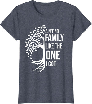Ain't No Family Like The One I Got Funny Family Reunion 2025