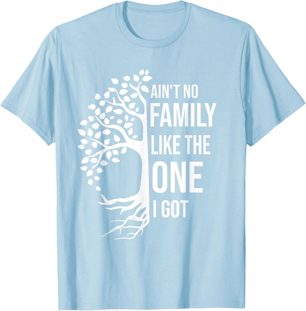 Ain't No Family Like The One I Got Funny Family Reunion 2025