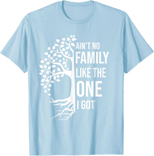 Ain't No Family Like The One I Got Funny Family Reunion 2025