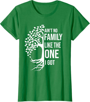 Ain't No Family Like The One I Got Funny Family Reunion 2025
