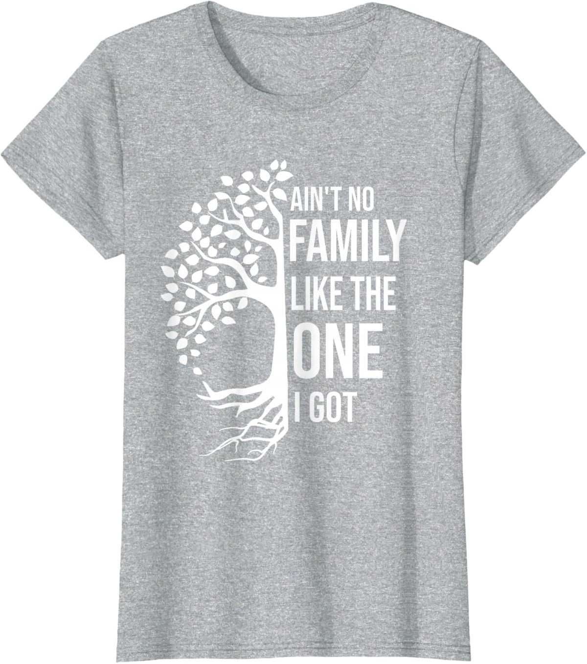 Ain't No Family Like The One I Got Funny Family Reunion 2025