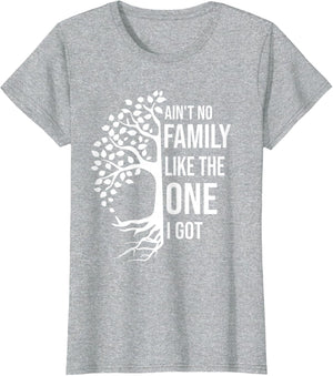 Ain't No Family Like The One I Got Funny Family Reunion 2025