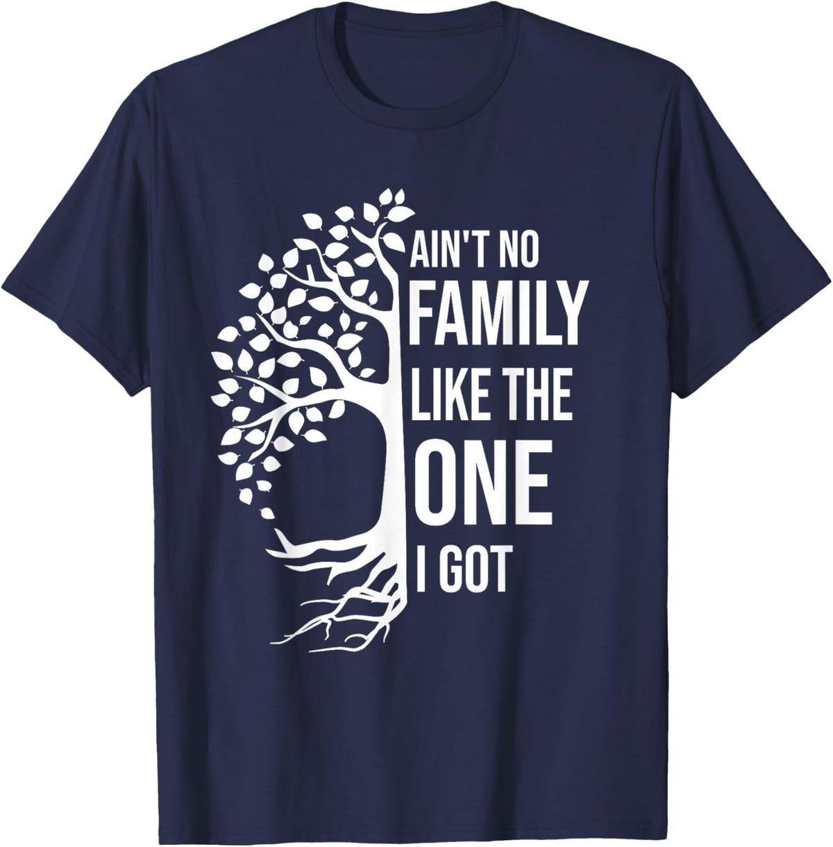 Ain't No Family Like The One I Got Funny Family Reunion 2025