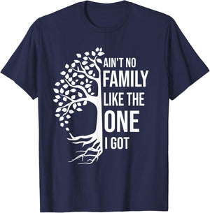Ain't No Family Like The One I Got Funny Family Reunion 2025