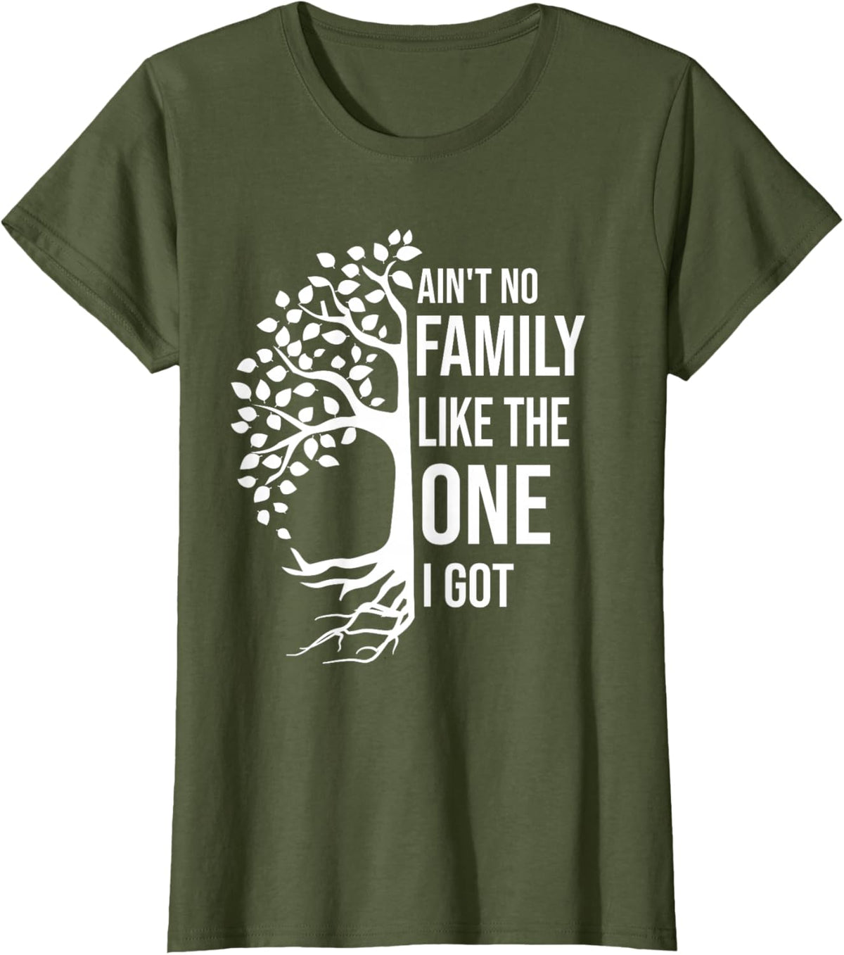 Ain't No Family Like The One I Got Funny Family Reunion 2025