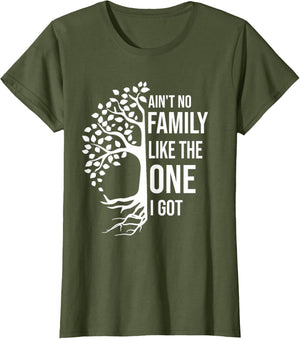 Ain't No Family Like The One I Got Funny Family Reunion 2025