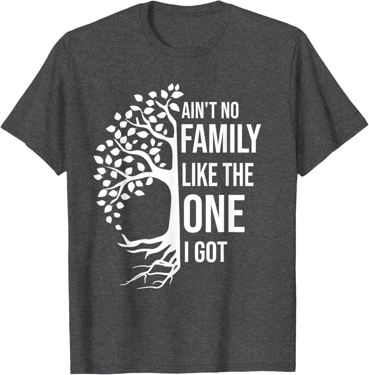 Ain't No Family Like The One I Got Funny Family Reunion 2025