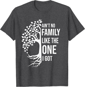 Ain't No Family Like The One I Got Funny Family Reunion 2025
