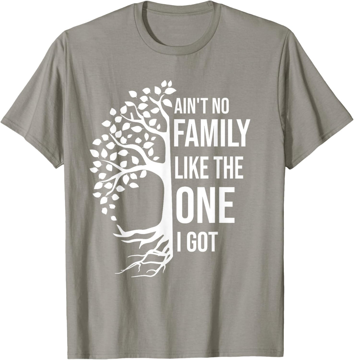 Ain't No Family Like The One I Got Funny Family Reunion 2025
