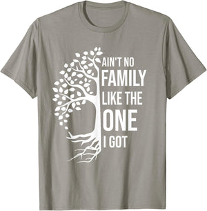 Ain't No Family Like The One I Got Funny Family Reunion 2025