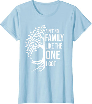 Ain't No Family Like The One I Got Funny Family Reunion 2025