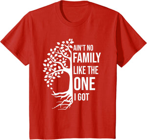 Ain't No Family Like The One I Got Funny Family Reunion 2025