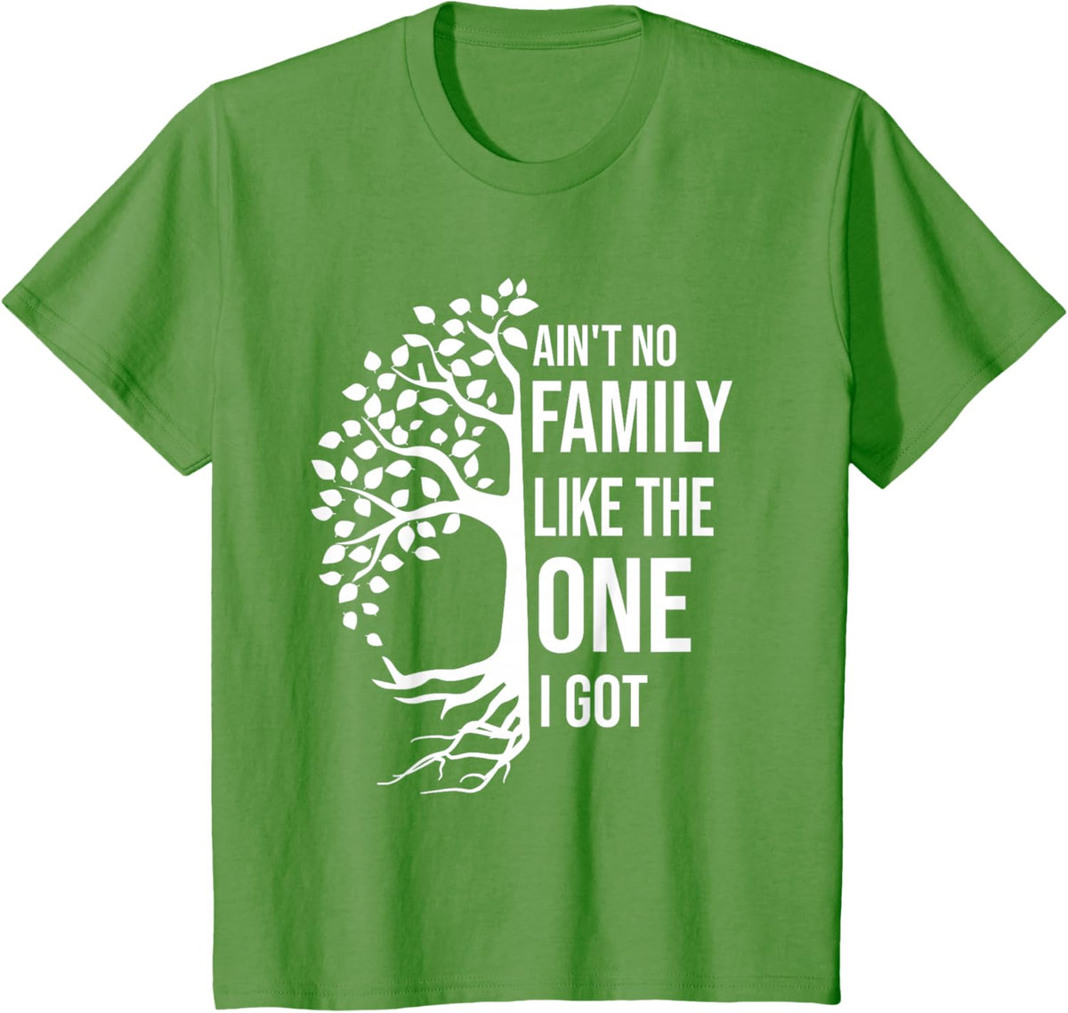 Ain't No Family Like The One I Got Funny Family Reunion 2025