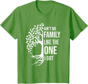 Ain't No Family Like The One I Got Funny Family Reunion 2025