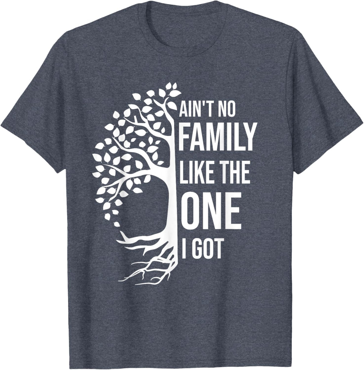 Ain't No Family Like The One I Got Funny Family Reunion 2025