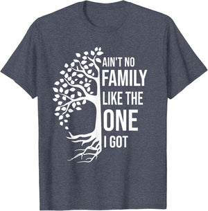 Ain't No Family Like The One I Got Funny Family Reunion 2025