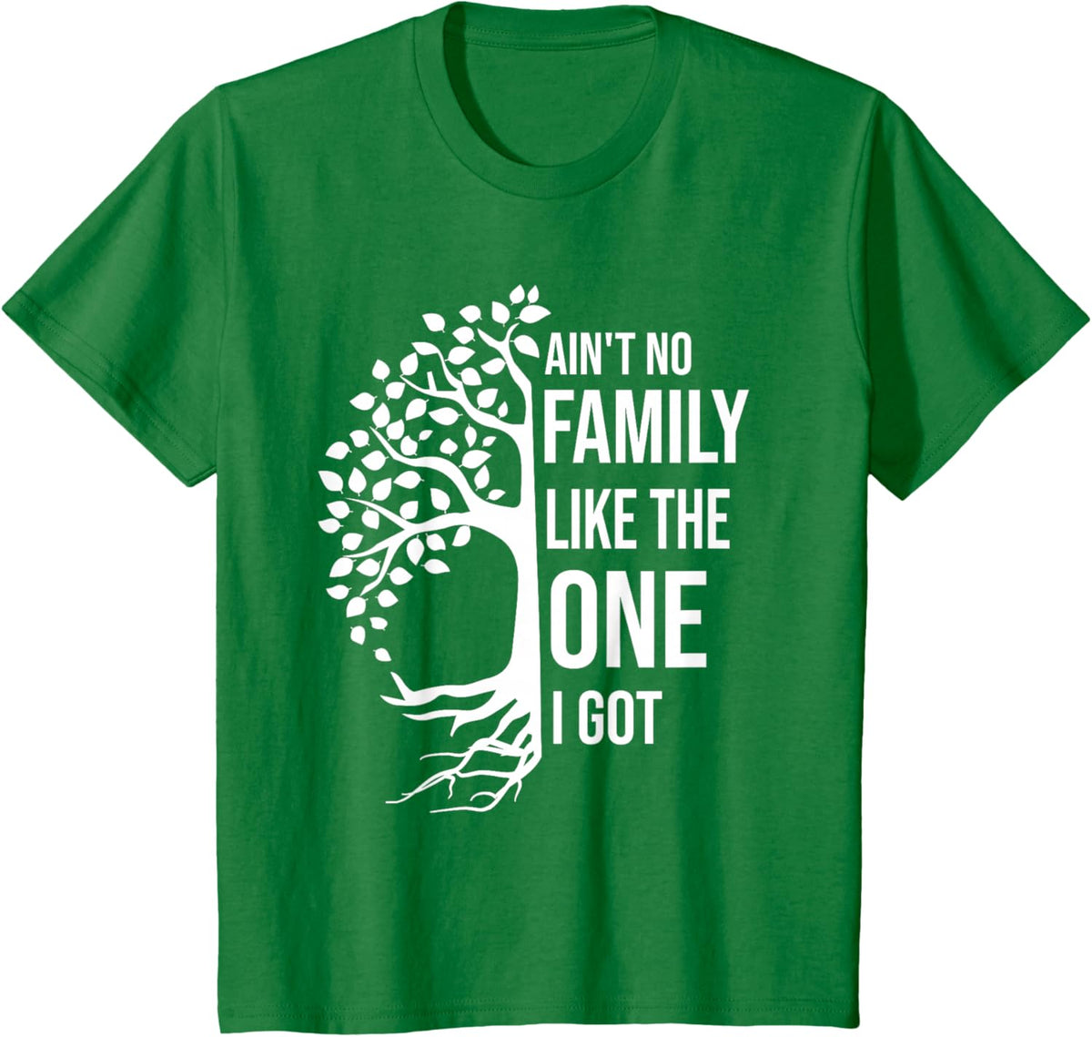 Ain't No Family Like The One I Got Funny Family Reunion 2025