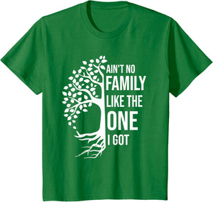Ain't No Family Like The One I Got Funny Family Reunion 2025