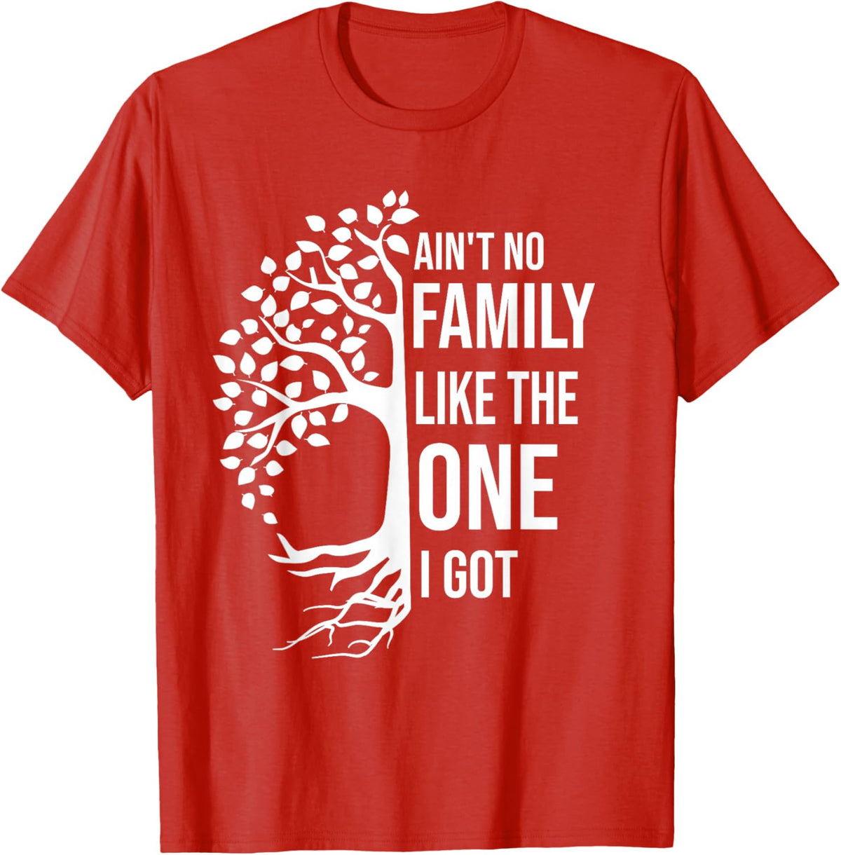 Ain't No Family Like The One I Got Funny Family Reunion 2025