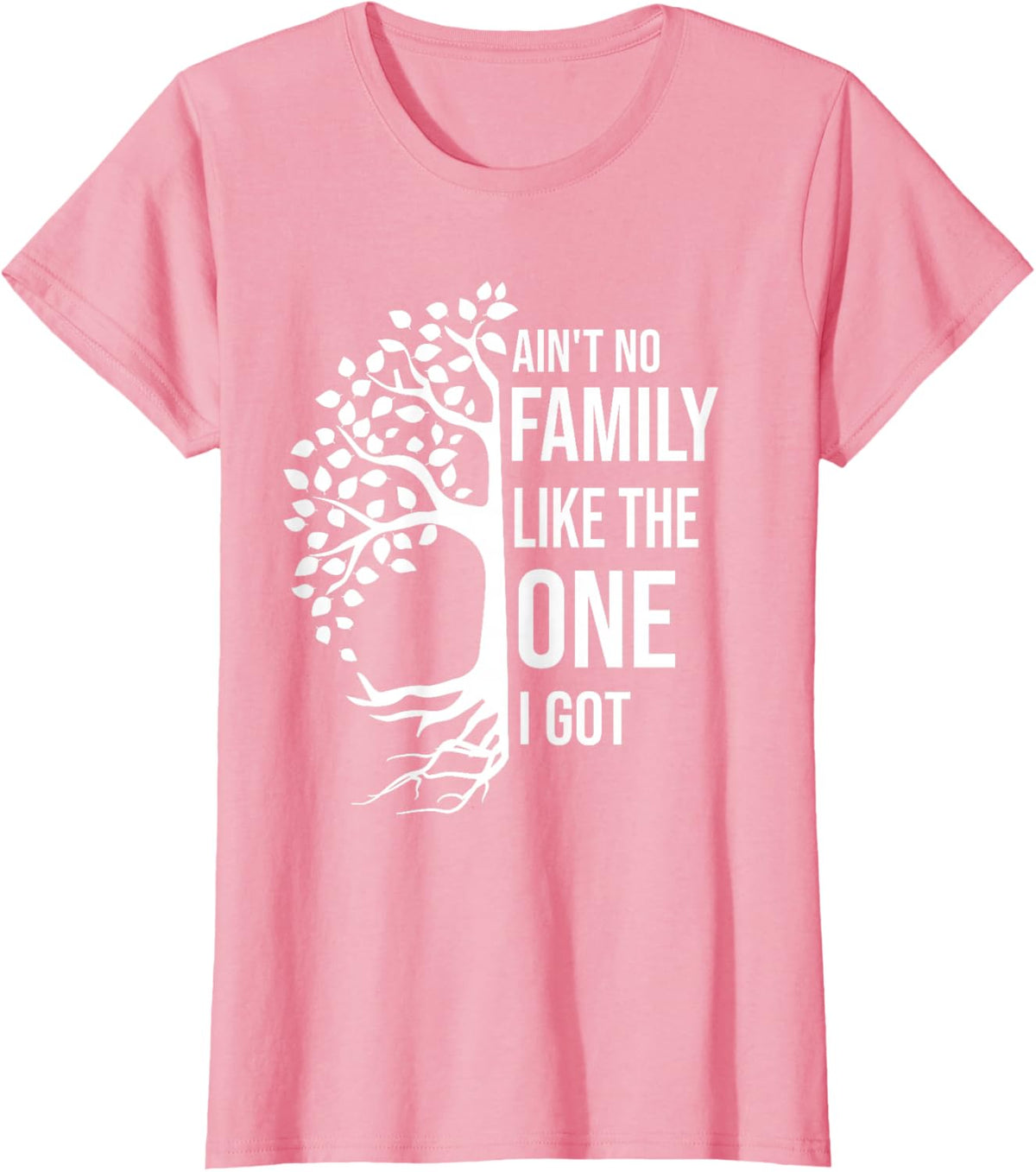 Ain't No Family Like The One I Got Funny Family Reunion 2025