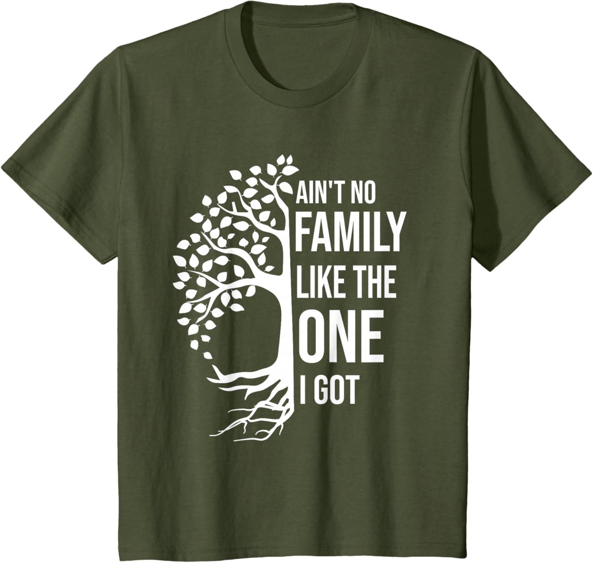 Ain't No Family Like The One I Got Funny Family Reunion 2025