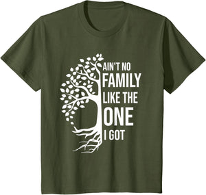 Ain't No Family Like The One I Got Funny Family Reunion 2025
