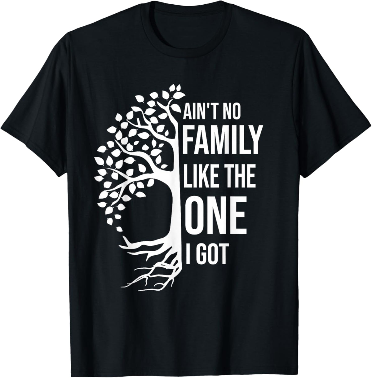 Ain't No Family Like The One I Got Funny Family Reunion 2025