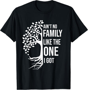 Ain't No Family Like The One I Got Funny Family Reunion 2025