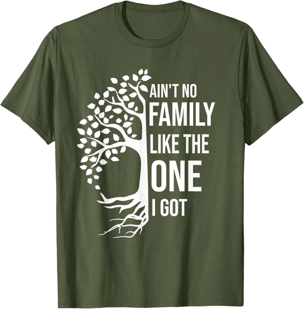 Ain't No Family Like The One I Got Funny Family Reunion 2025
